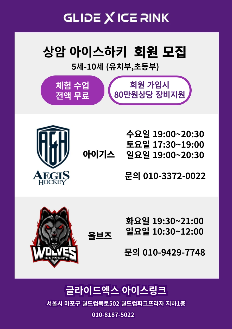 아이스하키