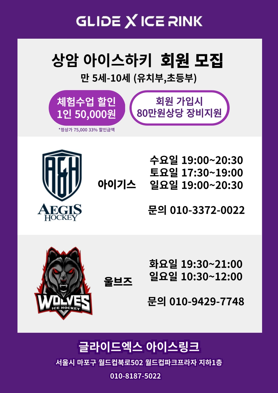 아이스하키